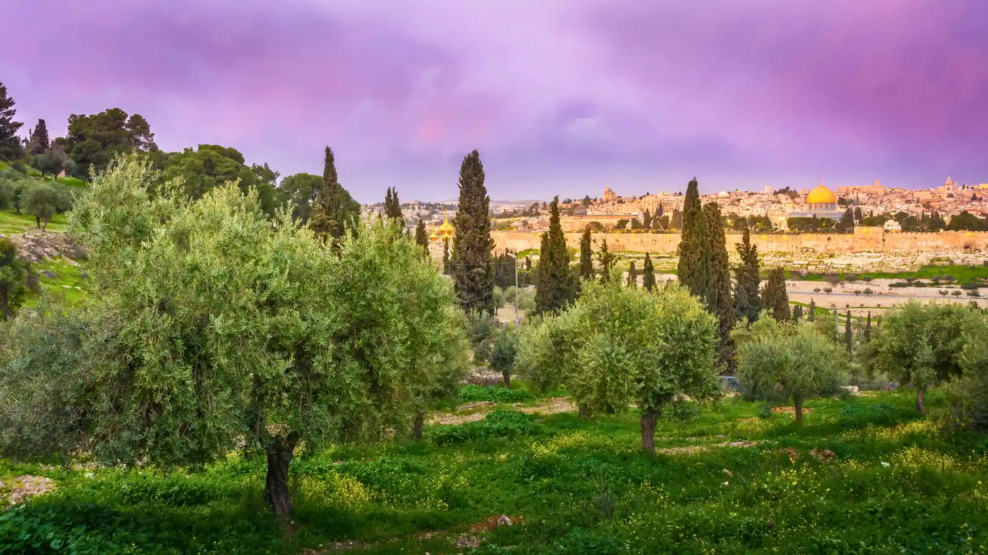 Mount of Olives